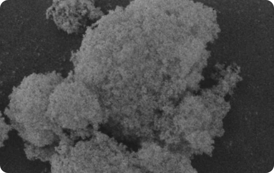  REOLOSIL™ FM Series SEM image