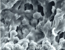 SEM observation of FE cross section (x3000)