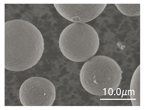 エシルシール™ SEM画像（×3000）