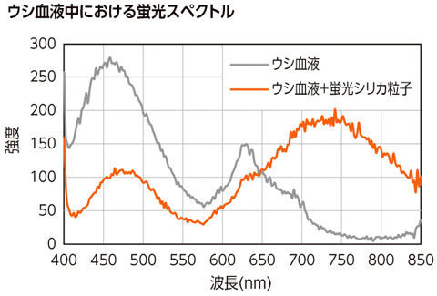 ウシ血液中における蛍光スペクトル