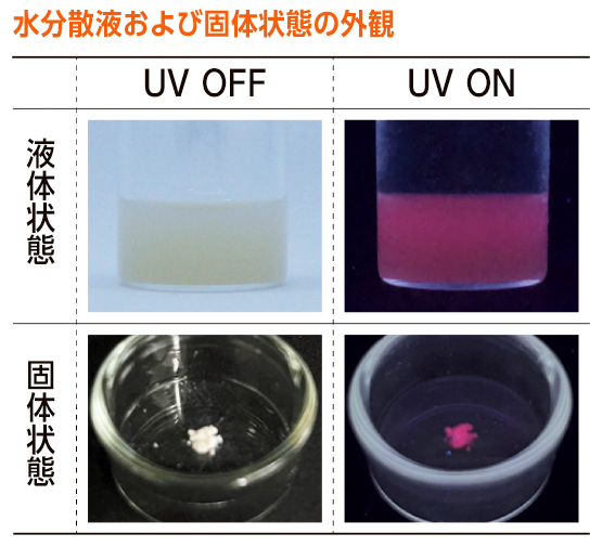水分散液および固体状態の外観