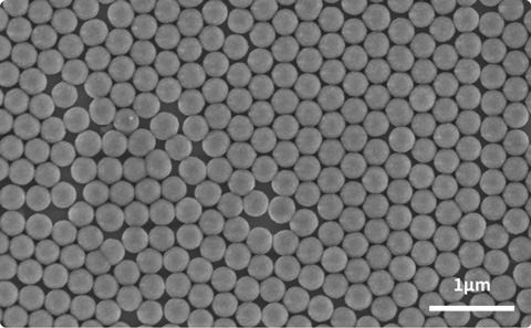 サンシール®FAのSEM画像