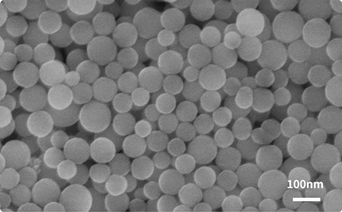 サンシール®MP-01のSEM画像