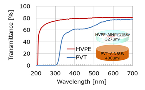 HVPE法自立型単結晶AlN基板